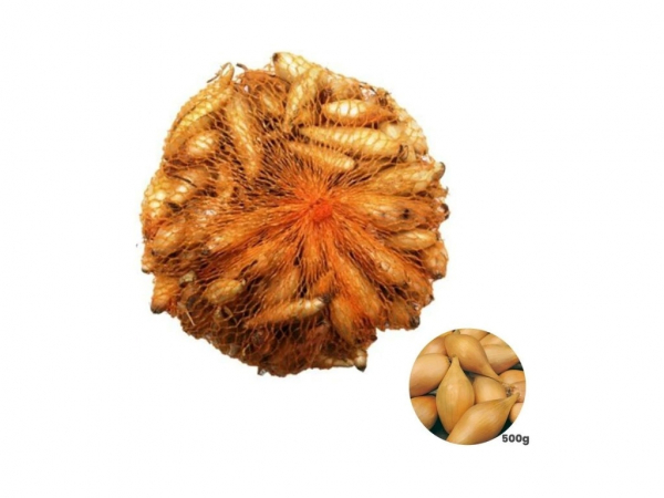 Cibuľa sadzačka Birnformige 8 - 15 mm, 500 g