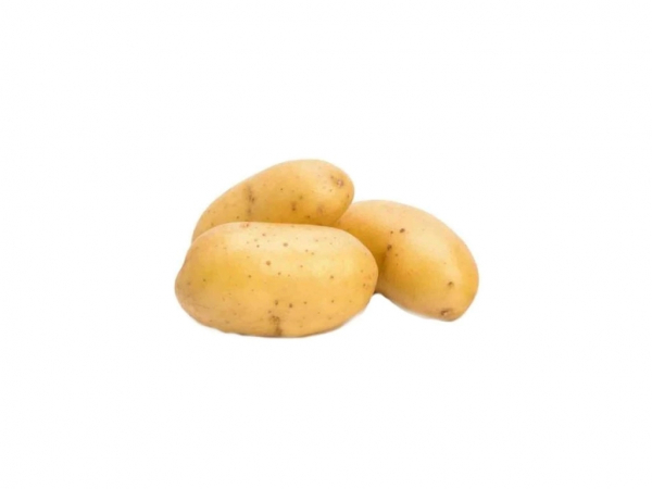 Sadbové zemiaky Colette C1, 5 kg
