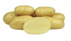 Sadbové zemiaky Colette C1, 5 kg