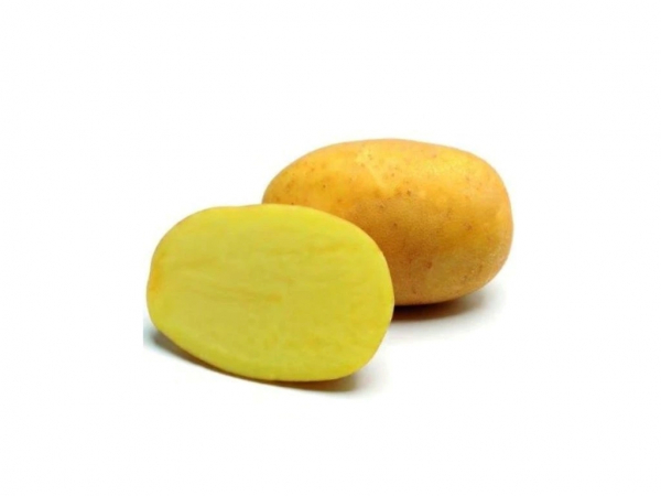 Sadbové zemiaky Agria C1, 5 kg