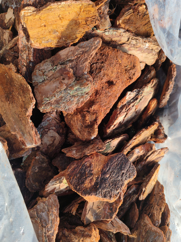 Píniová kôra dekoračná 80 - 130 mm, 50 l