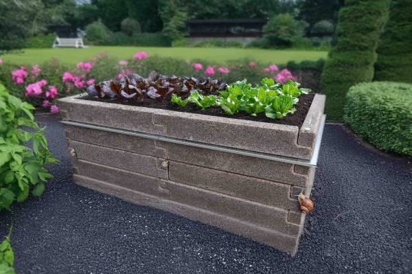 Obrázok zobrazuje vysoký záhon Durisol so zábranou proti slimákom osadený v reálnom záhradnom prostredí. Viditeľná je zeleninová výsadba, ochranný lem po obvode a kontakt slimákov s vonkajšou stenou záhona.