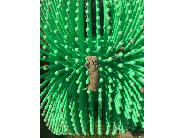 Detail zeleného zberného valca Bag-A-Nut 45 cm na zber travných špuntov a drobného odpadu