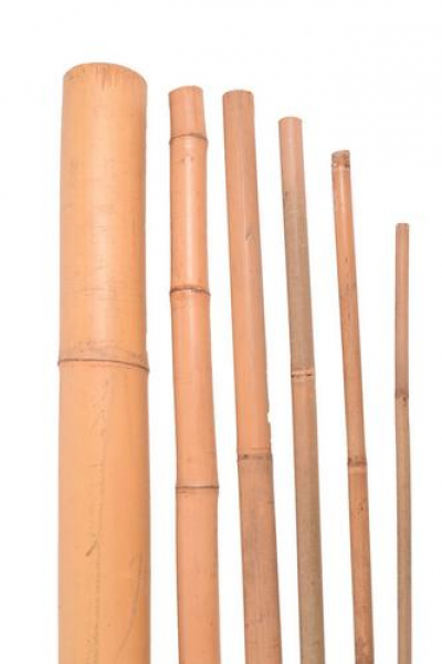 Bambusová tyč 210 cm, 24 - 26 mm